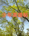����Ӣ����